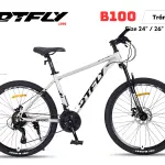 XE ĐẠP ĐỊA HÌNH DTFLY B100