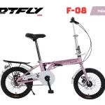 Xe Đạp Gấp DTFLY F-08