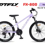 Xe Đạp Địa Hình DTFLY FX-800