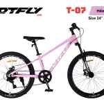 Xe Đạp Địa Hình DTFLY T-07