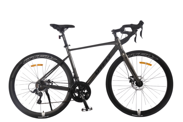 DTFLY SR7